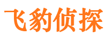 卢龙市调查公司